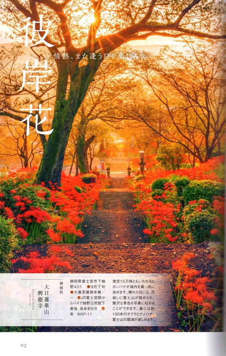 大日蓮華山興德寺