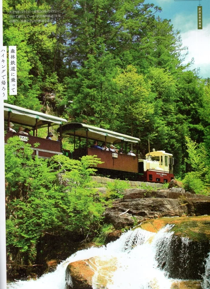 赤澤自然休養林