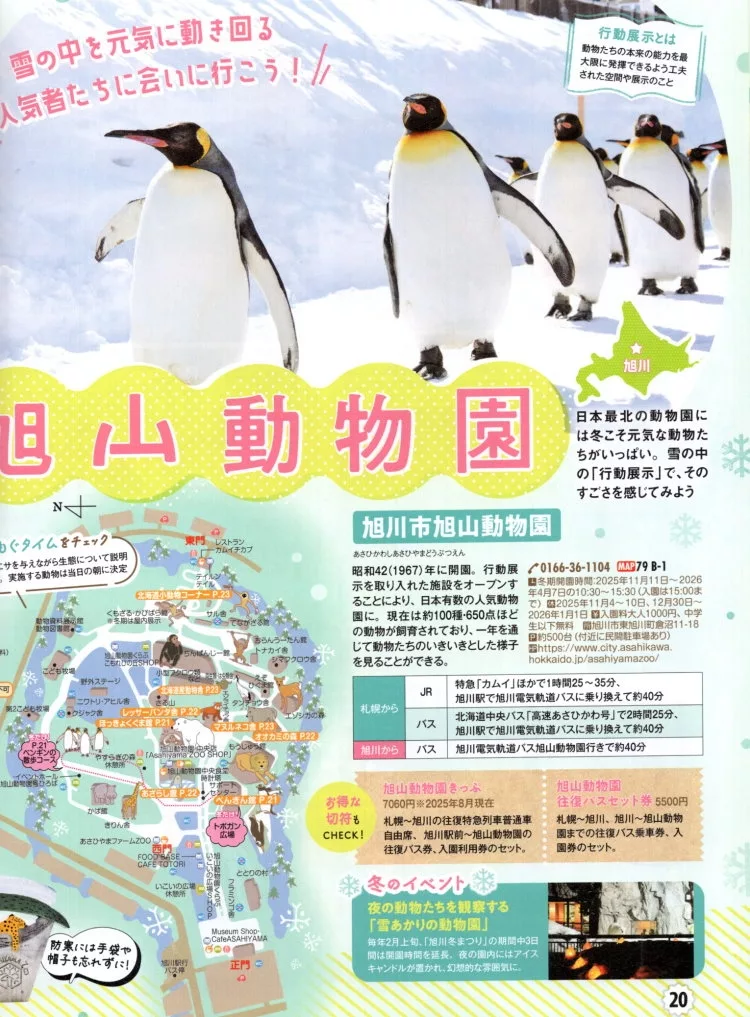 冬季必遊旭川動物園