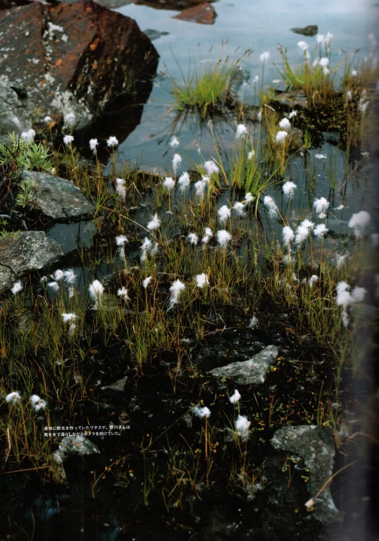 野營與濕地的自然觀察