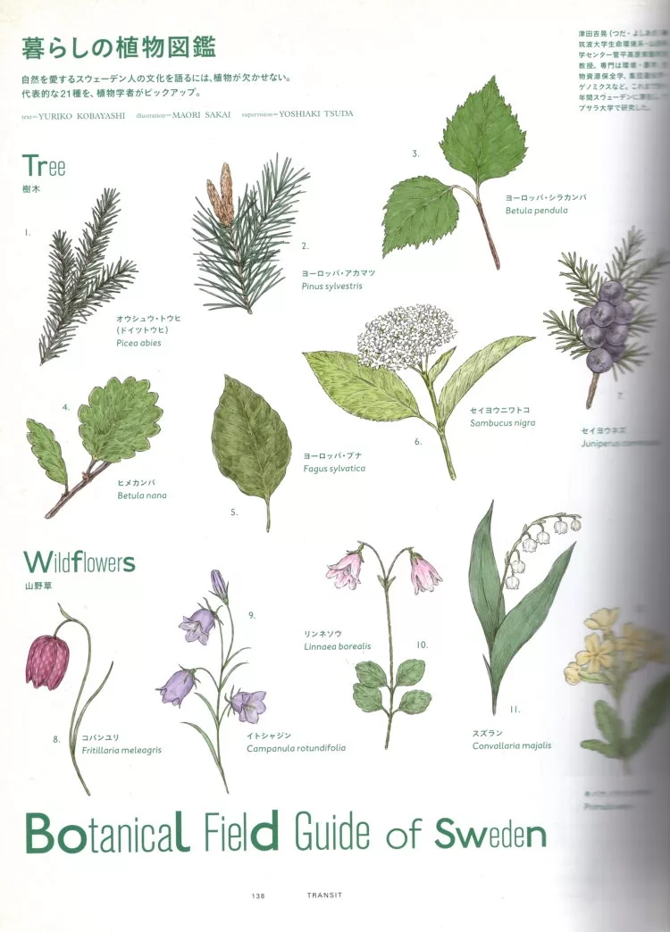 瑞典生活植物圖鑑
