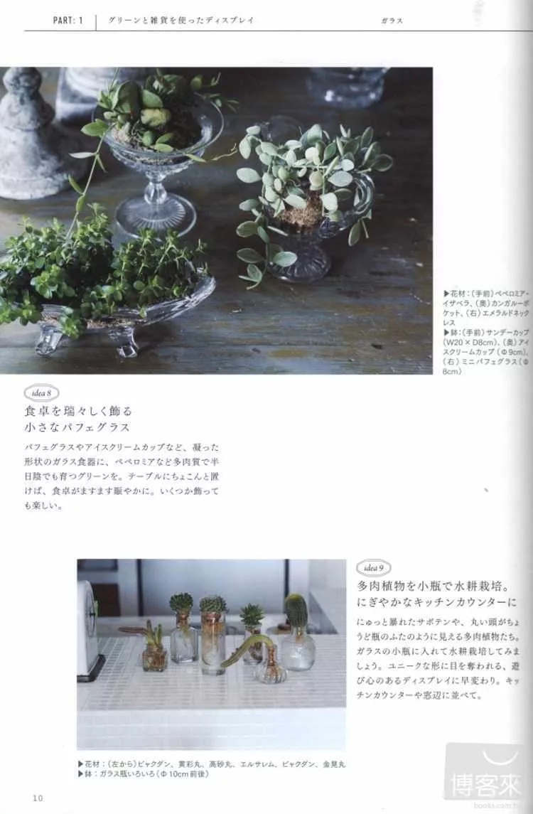 博客來 多肉植物空氣鳳梨綠意植栽裝飾生活讀本