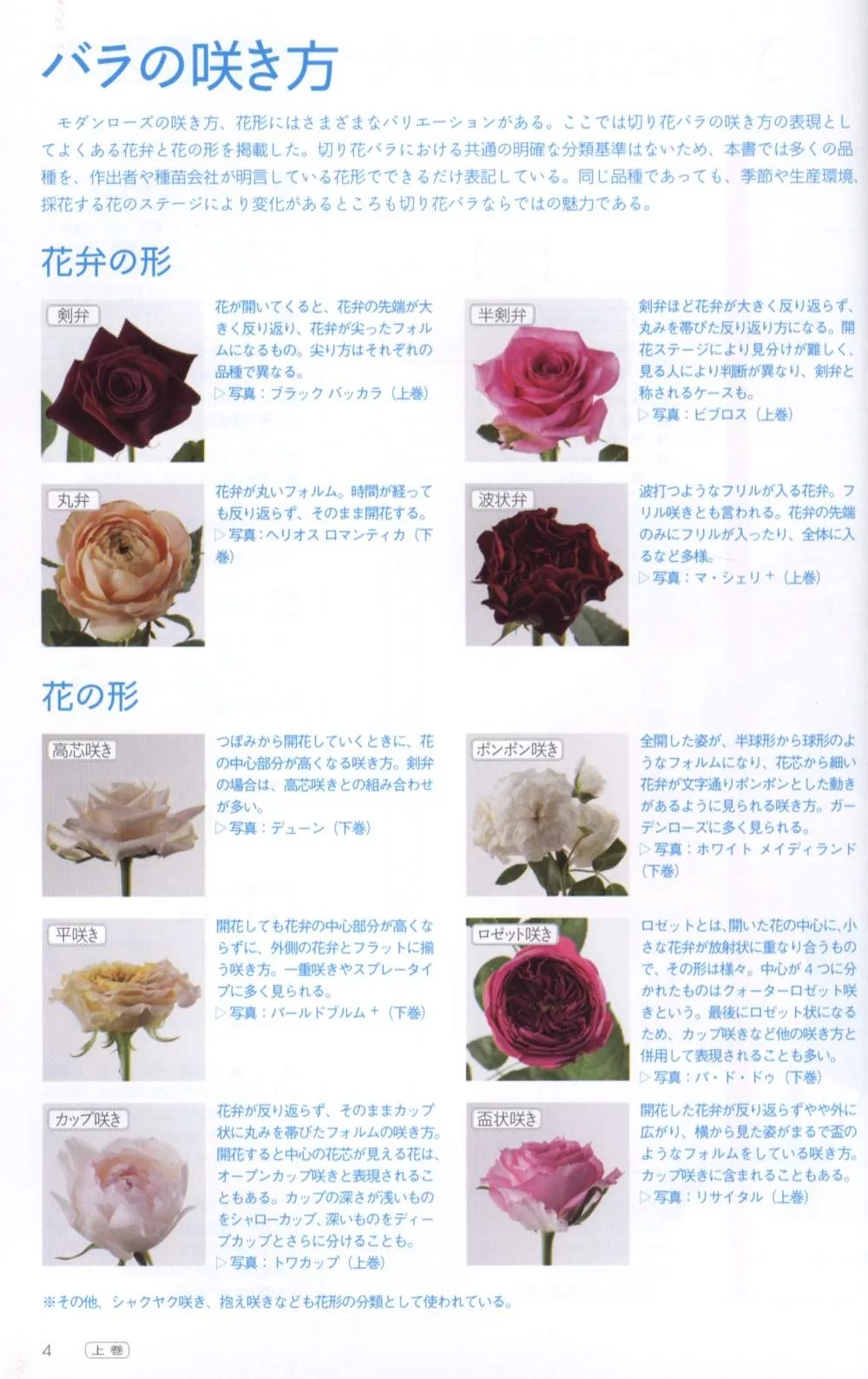 博客來 玫瑰薔薇圖鑑1000 上卷 526品種