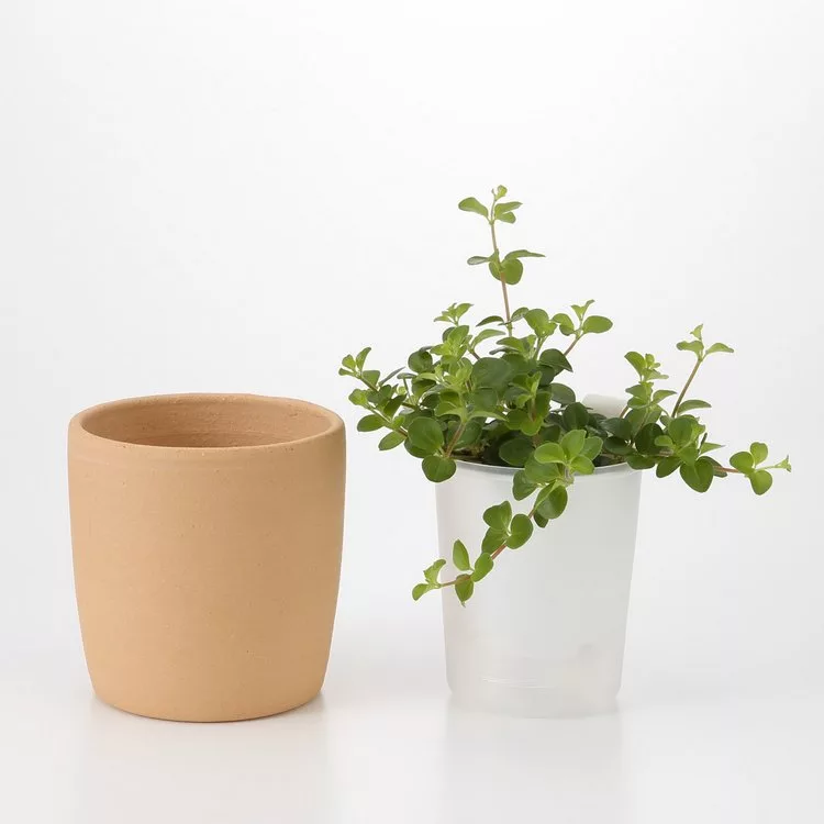 博客來 Muji無印良品 白磁花器用底盤
