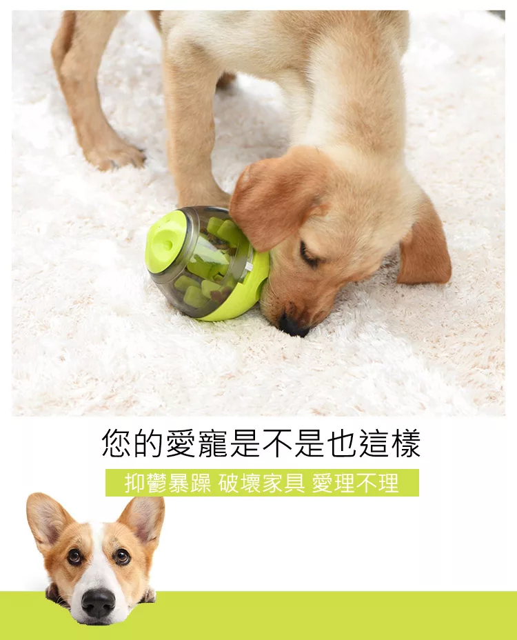 博客來 寵物飼料餵食器狗狗不倒翁漏食球寵物慢食器搖晃漏食器綠色
