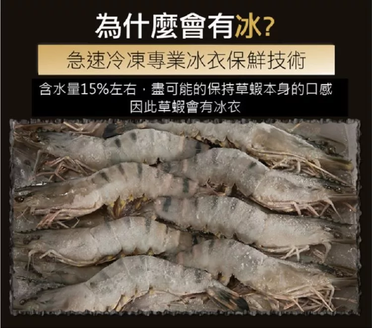 省126元 叼果熊白虾鲜活冷冻特大对虾草虾基围虾生鲜虾类轻食白虾3斤多少钱 什么值得买