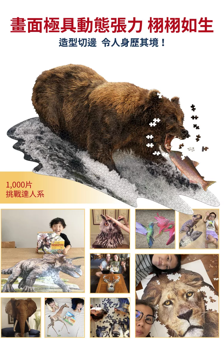 博客來 I Am 拼圖 我是灰熊 1000 系列 極限逼真動物 完成品超巨大 高挑戰性