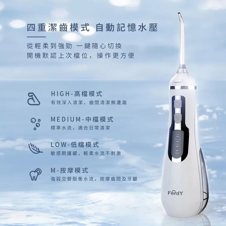 FerdY佛迪 FD-P100 - 詳情2