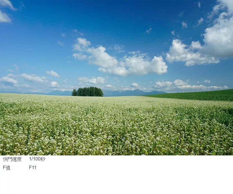 SONY索尼 SELP1650 E 16-50mm F/3.5-5.6 OSS - 詳情2