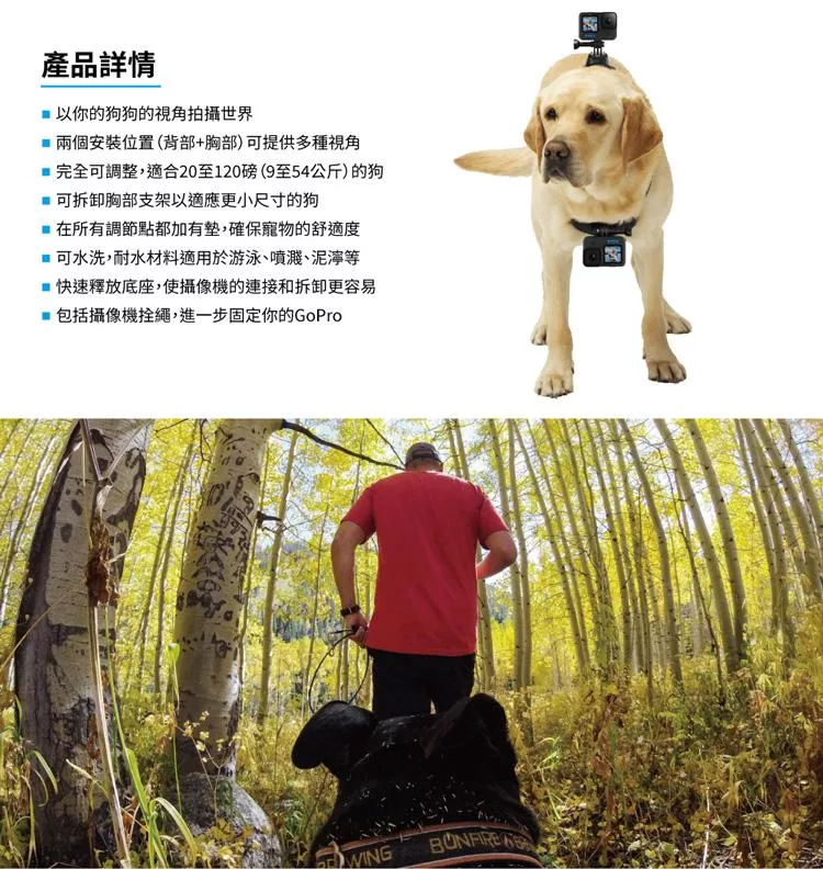 GoPro ADOGM-001 - 詳情3