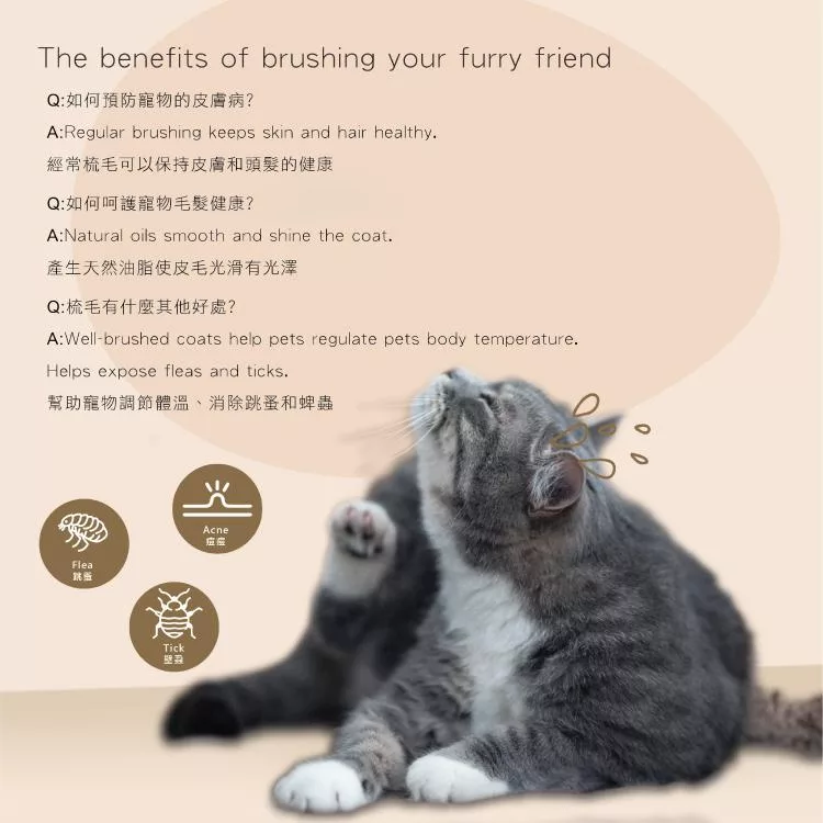 Dirt Devil Petsmate - 詳情4