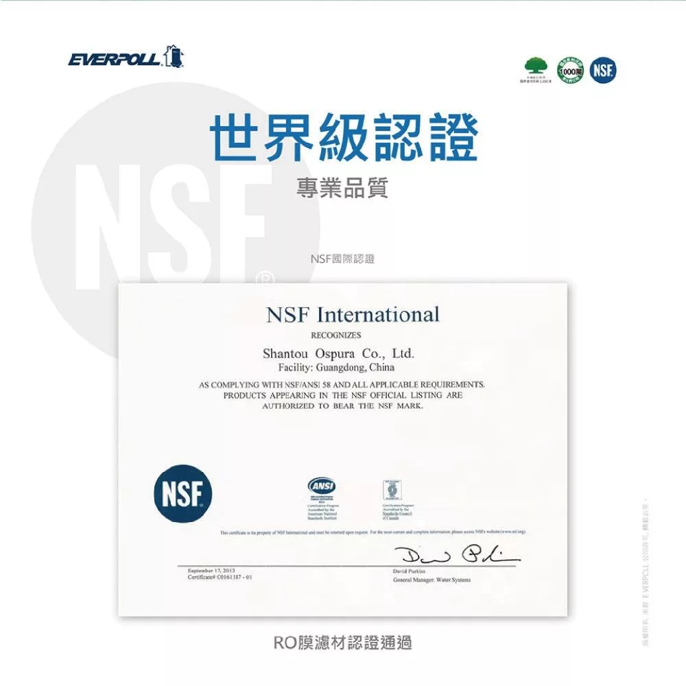 EVERPOLL愛科濾淨 RO-600G - 詳情4