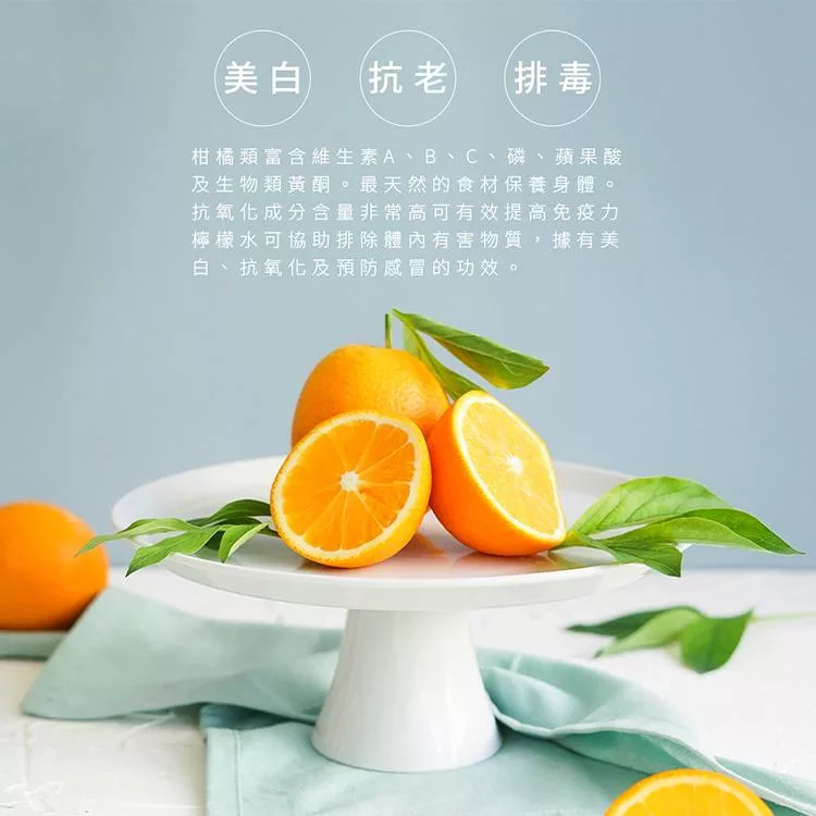 PRINCESS荷蘭公主 201866 - 詳情4