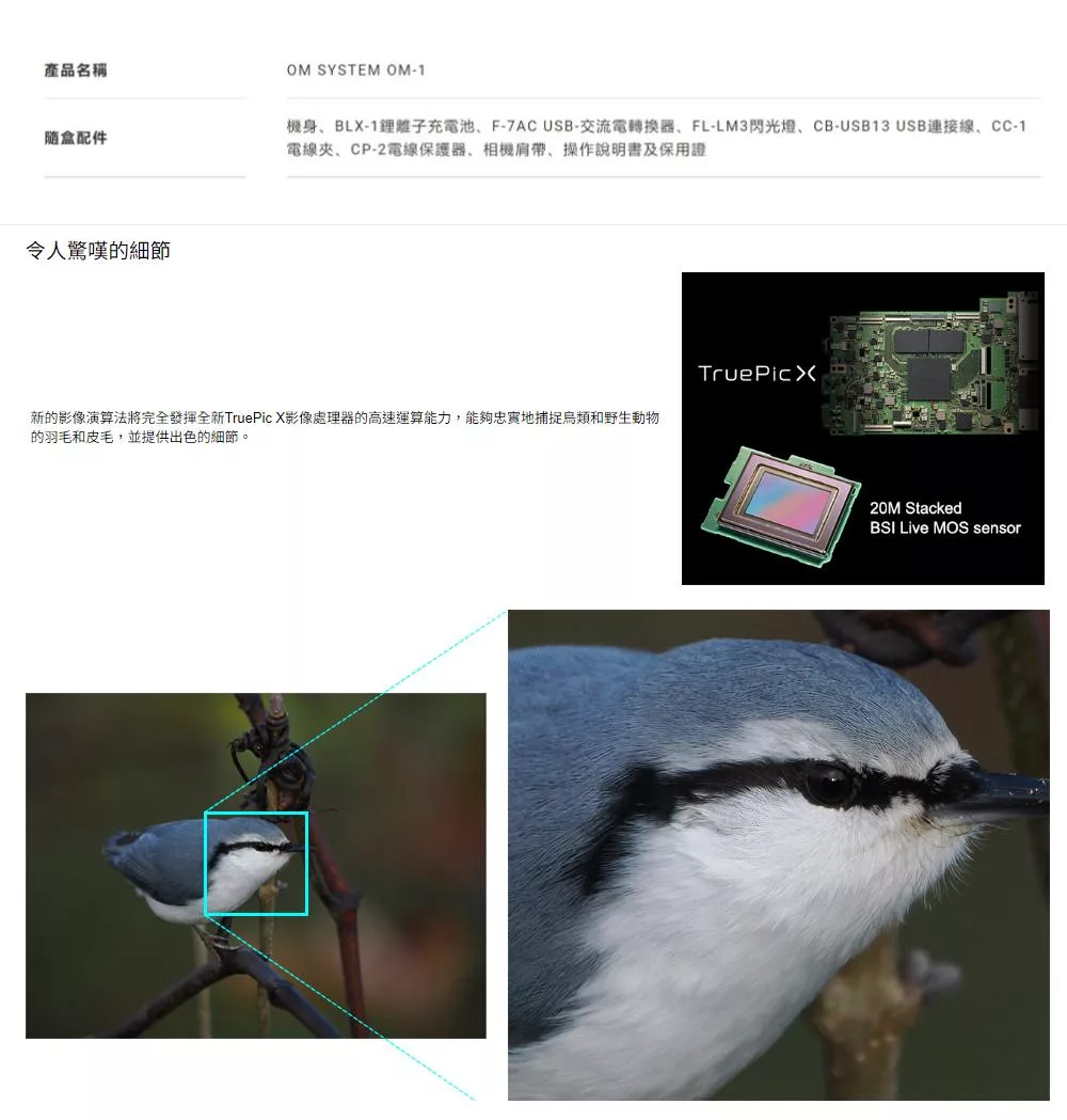 OLYMPUS奧林巴斯 OM-1 - 詳情1