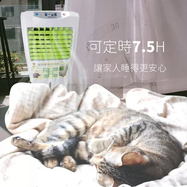 LAPOLO藍普諾 LA-20120 - 詳情3