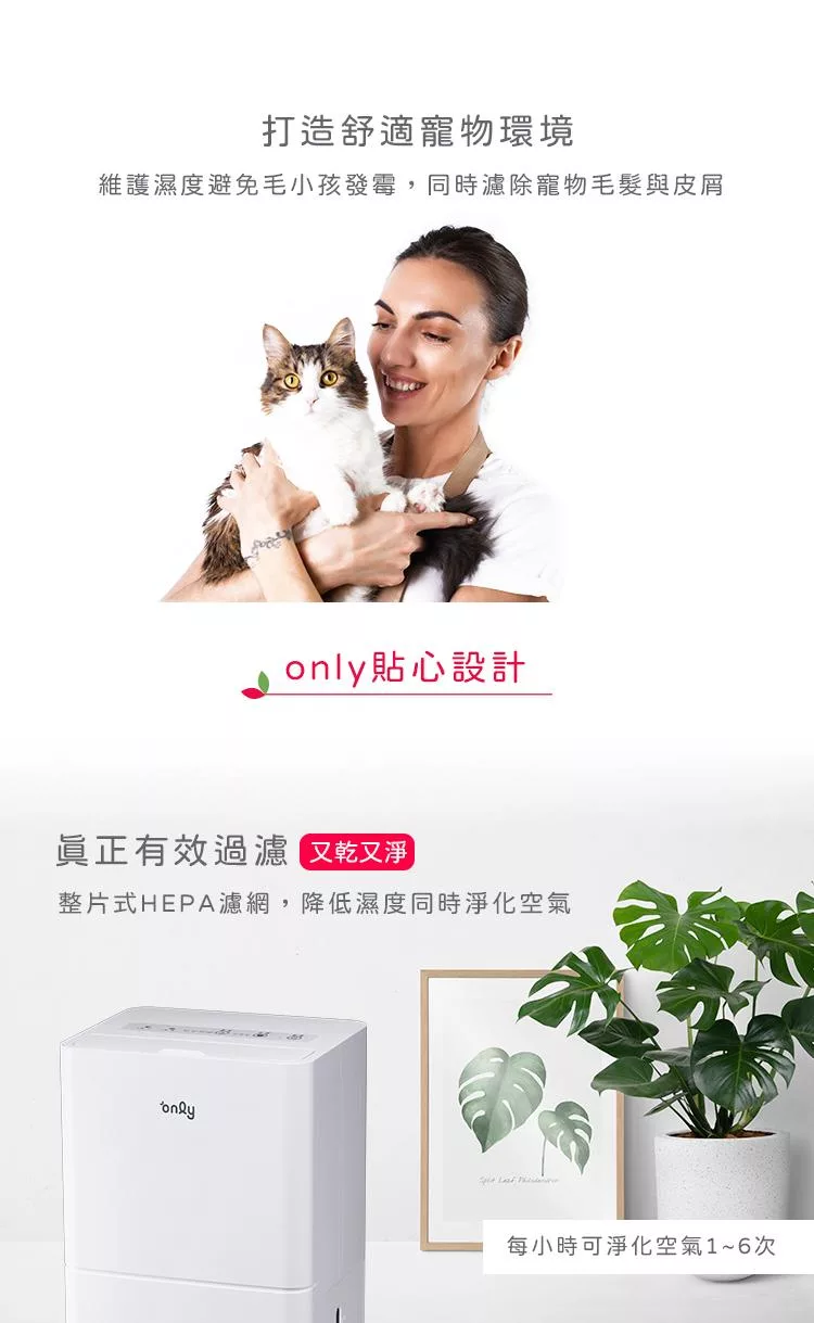 only 9B-H061 - 詳情4