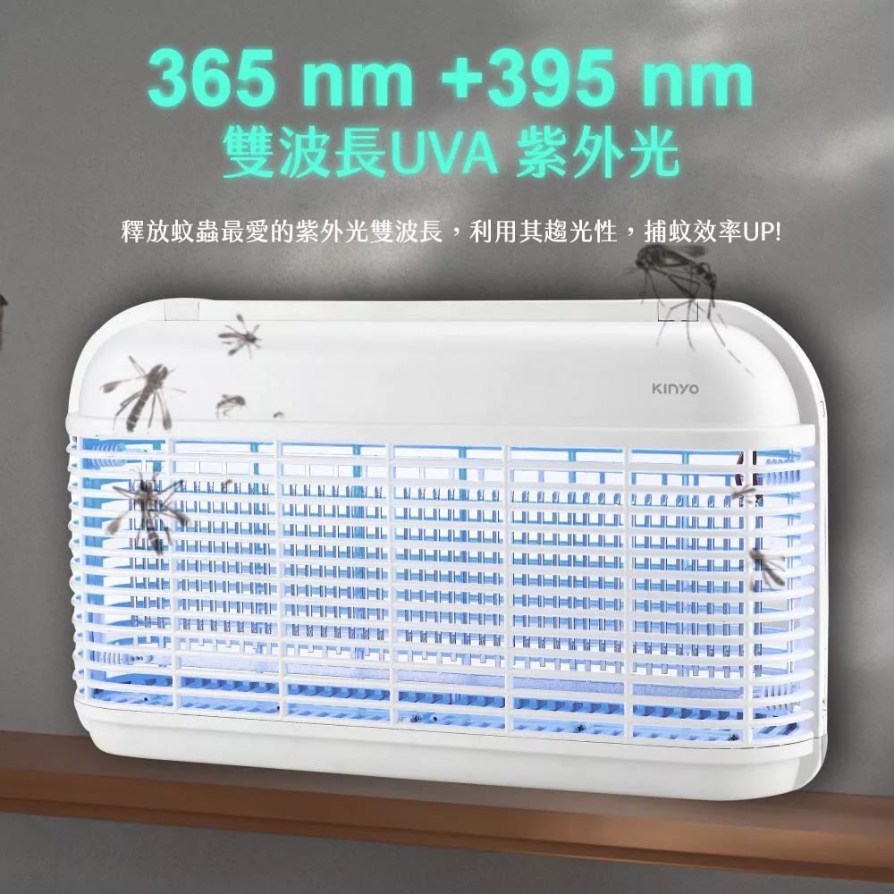 KINYO KL-8121B - 詳情1