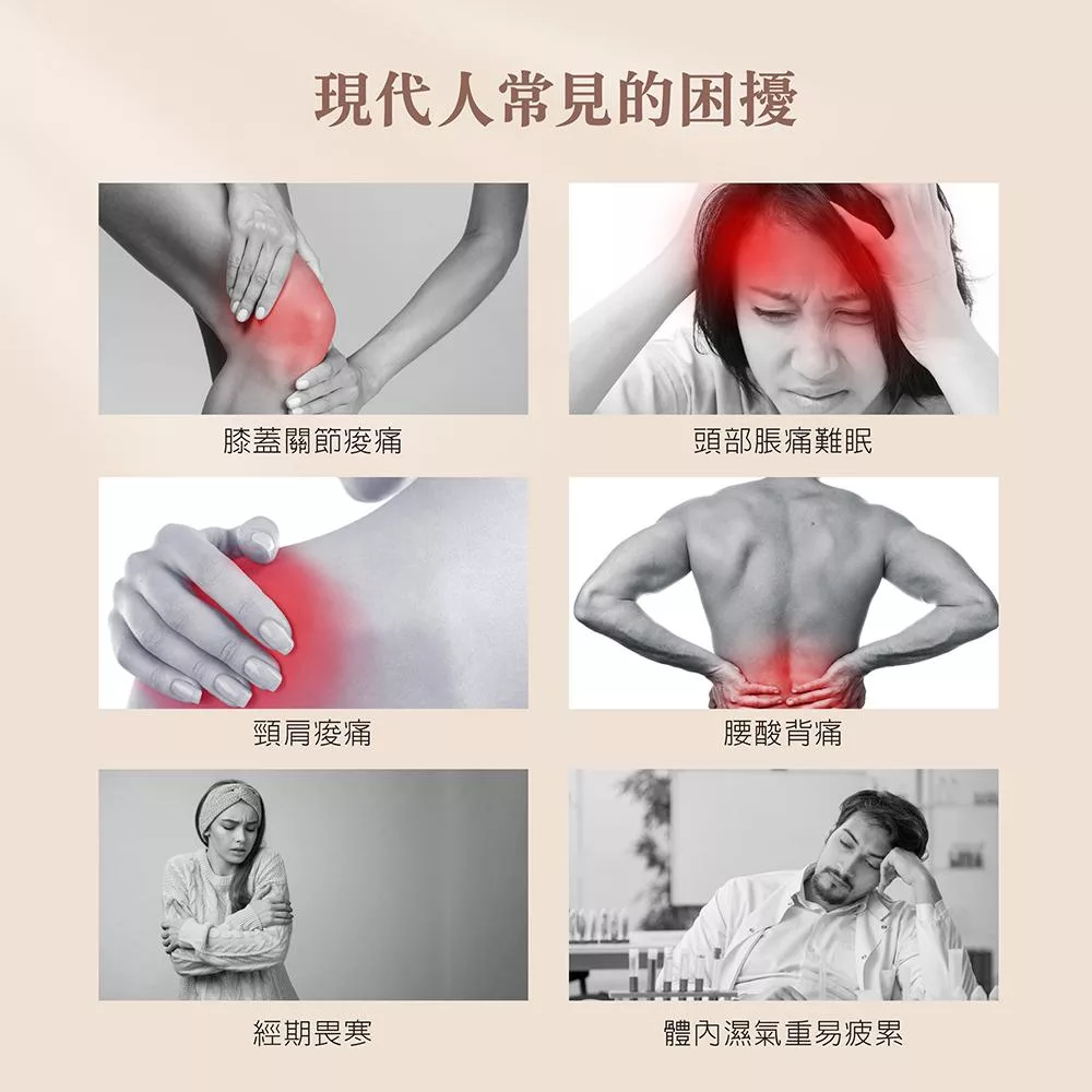 THOMSON湯姆盛 TM-BC07DS - 詳情1