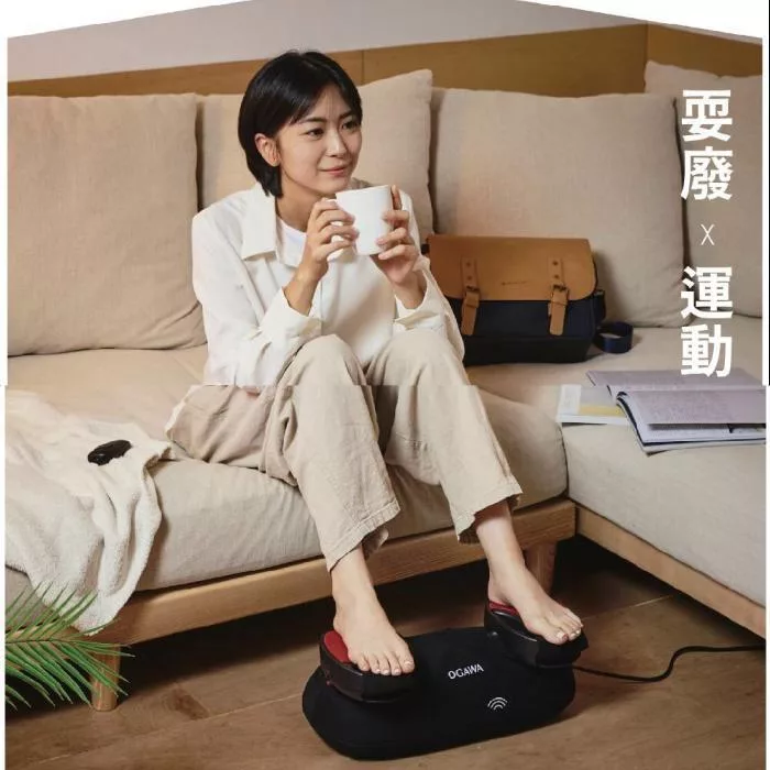 OGAWA OG-1118E - 詳情1