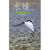 臺灣的菱角鳥─水雉