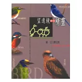 望遠鏡裡的精靈：台灣常見鳥類的故事