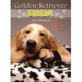 黃金獵犬 Golden Retriever