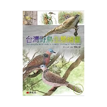 台灣野鳥生態繪畫