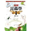 圖解昆蟲學