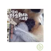 搶救野生動物大進擊：從台灣出發