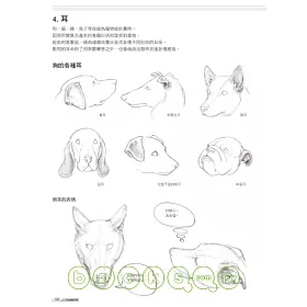 博客來 獸醫教你畫動物素描 博客來 獸醫教你畫動物素描