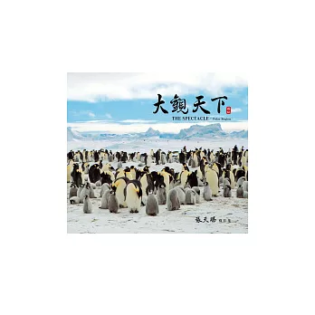 大觀天下:極地