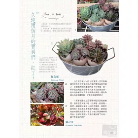 博客來 希莉安の東京多肉植物日記 博客來 希莉安の東京多肉植物日記