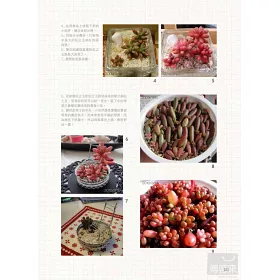 博客來 希莉安の東京多肉植物日記 博客來 希莉安の東京多肉植物日記