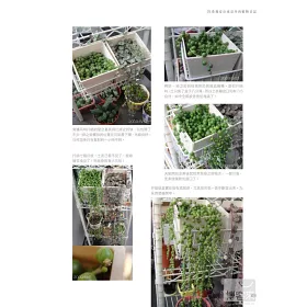 博客來 希莉安の東京多肉植物日記 博客來 希莉安の東京多肉植物日記