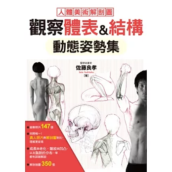 觀察體表&結構 動態姿勢集：最標準的人體美術解剖圖！這樣畫人物，才逼真！