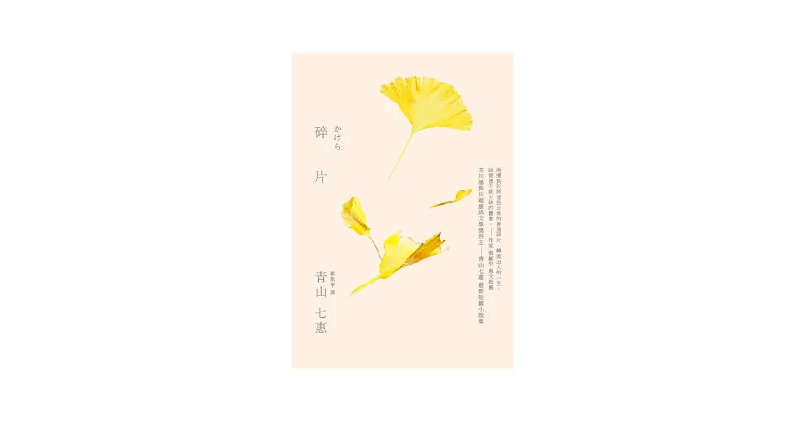 碎片