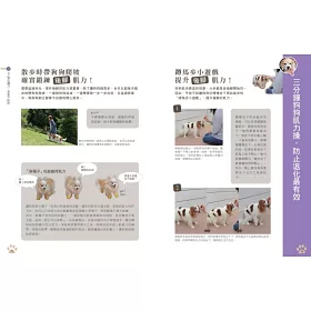 博客來 老犬生活完全指南 史上最完備 最專業的高齡犬居家照護全書 博客來 老犬生活完全指南 史上最完備 最專業的高齡犬居家照護全書