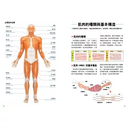 博客來 人體學習事典 肌肉的功能與構造篇