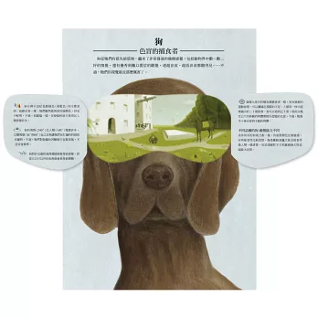 《動物眼中的世界》&《They all saw a cat》 《動物眼中的世界》&《They all saw a cat》