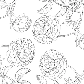 博客來 漫步花徑 浪漫名畫花卉紓壓著色本 附風格手帳13 18 博客來 漫步花徑 浪漫名畫花卉紓壓著色本 附風格手帳13 18