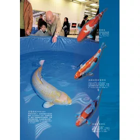 博客來 錦鯉鑑賞x飼養指南 博客來 錦鯉鑑賞x飼養指南
