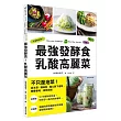 最強發酵食!乳酸高麗菜:不只是泡菜!從主菜、調味料、點心到下酒菜,營養便利、美味百搭