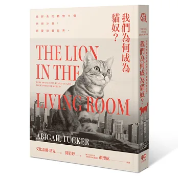我們為何成為貓奴?這群食肉動物不僅佔領沙發,更要接管世界