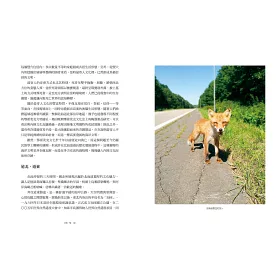 博客來 日本一周 菜籃車 環遊日本之旅 博客來 日本一周 菜籃車 環遊日本之旅