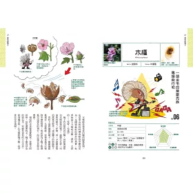 博客來 種子圖鑑 天上飛 河裡游 偽裝欺敵搞心機 讓你意想不到的種子變身小劇場 博客來 種子圖鑑 天上飛 河裡游 偽裝欺敵搞心機 讓你意想不到的種子變身小劇場