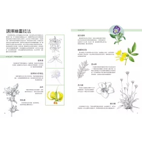 博客來 植物畫的第一堂課 英國皇家植物園首席畫師教你畫