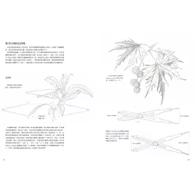 博客來 植物畫的第一堂課 英國皇家植物園首席畫師教你畫