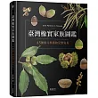 臺灣橡實家族圖鑑:45種殼斗科植物完整寫真