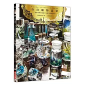 奇幻礦物盆景：水族箱與玻璃瓶中的精美礦物庭園