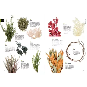 博客來 花藝素材百科 600種切花 乾燥花 永生花材完全圖鑑 博客來 花藝素材百科 600種切花 乾燥花 永生花材完全圖鑑